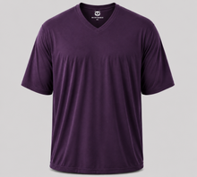 Load image into Gallery viewer, Big Men's V-Neck Bamboo Viscose T-Shirts